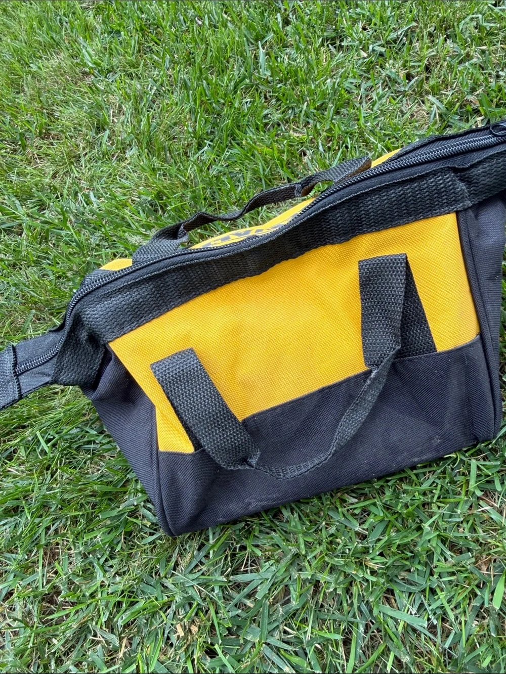 Dewalt durable tote